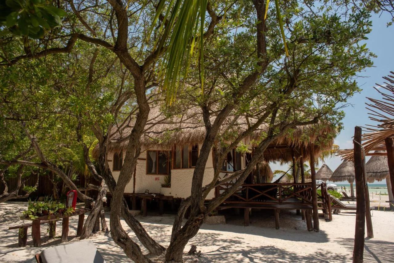 Casa Takywara foto