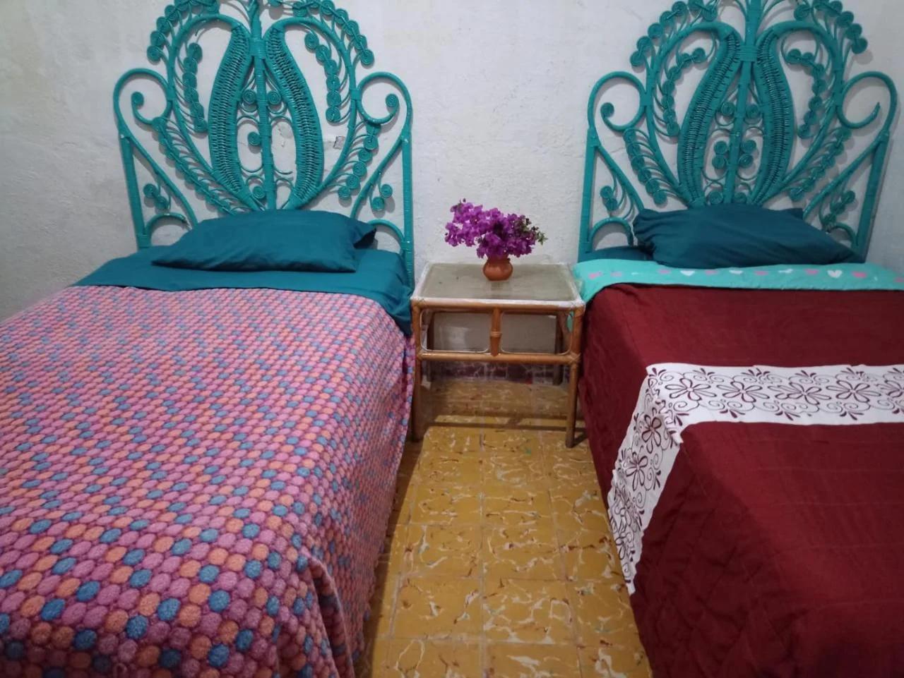 Depa Amadis 3 habitaciones photo