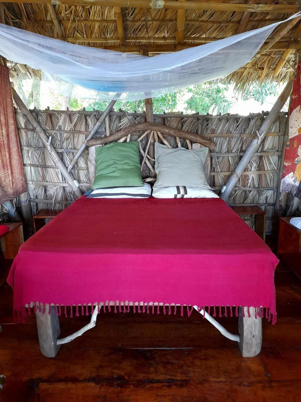 El Bamboo Cabins photo
