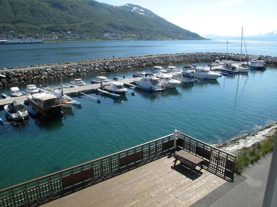 2 bedroom luxury apartment seafront, free pick up!