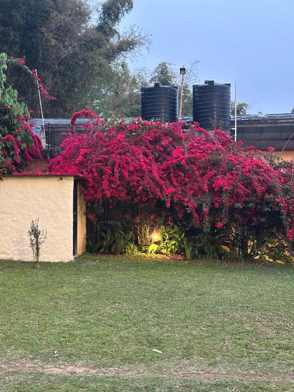 Hotel Tourist Residency And Homeland Forest Villa photo
