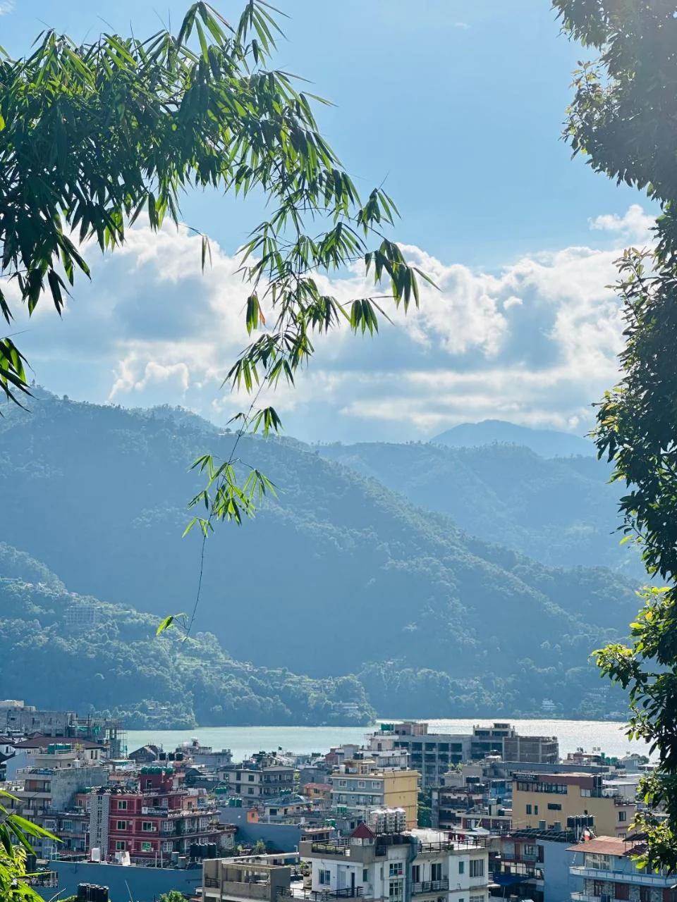 Hotel Tourist Residency And Homeland Forest Villa photo