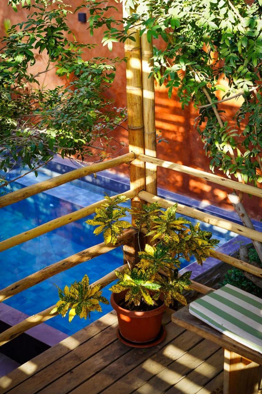 Eco Lodge Mancora photo