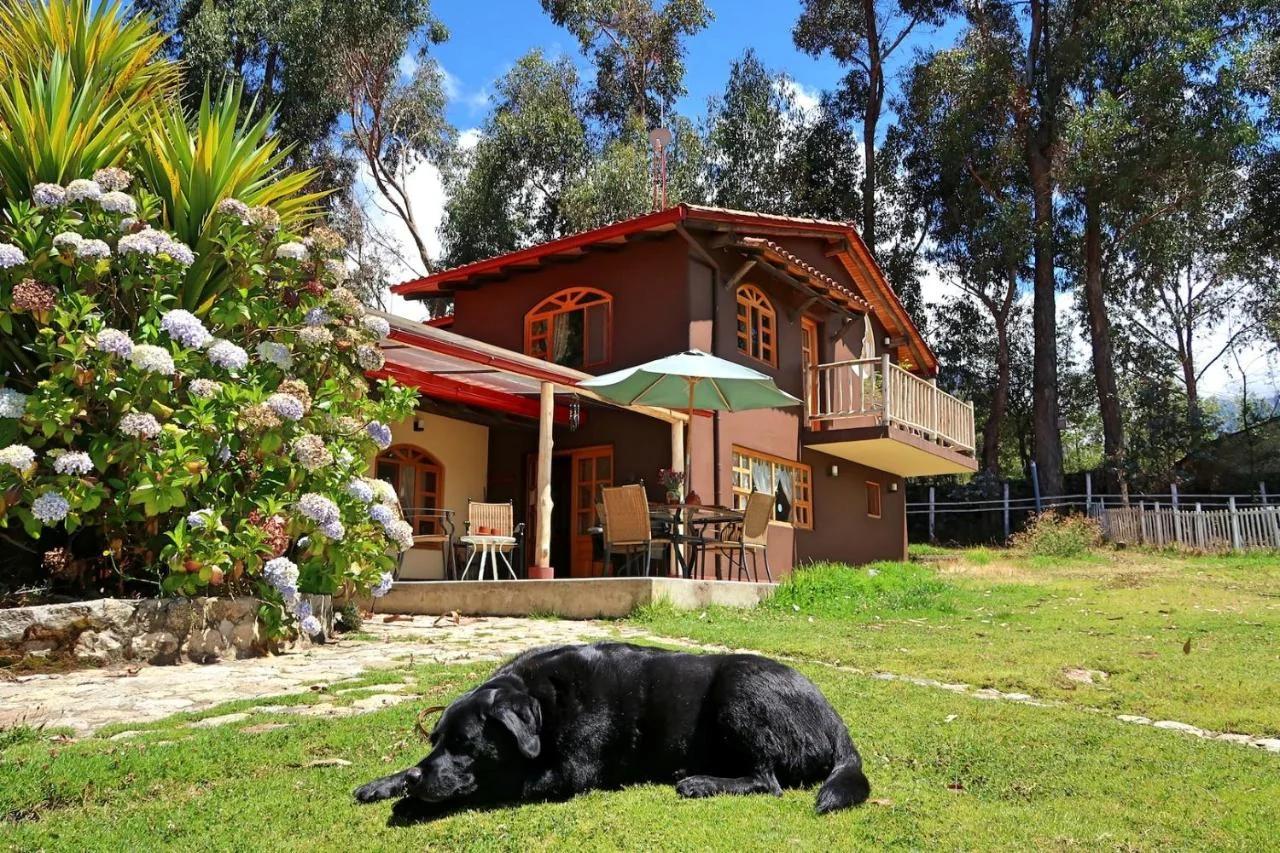 The Lazy Dog Inn a Mountain Lodge foto