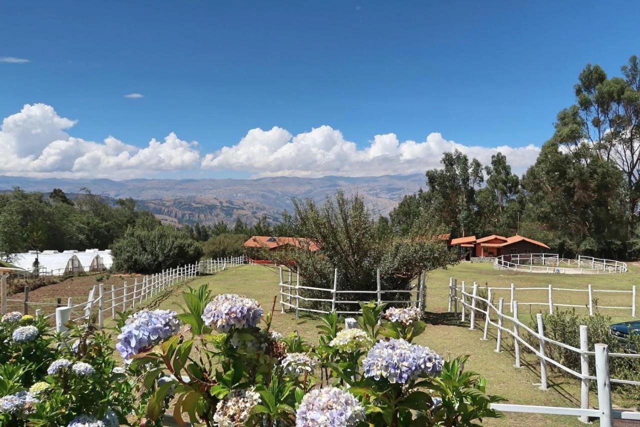 The Lazy Dog Inn a Mountain Lodge foto