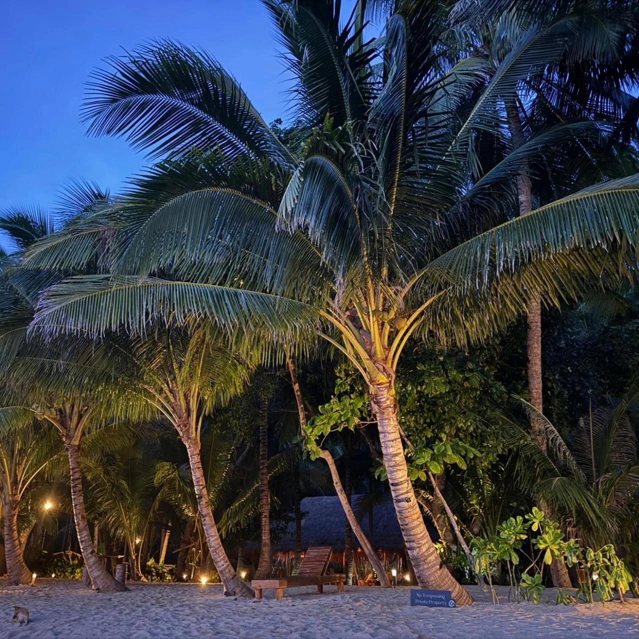 Cambaya Beach Resort photo