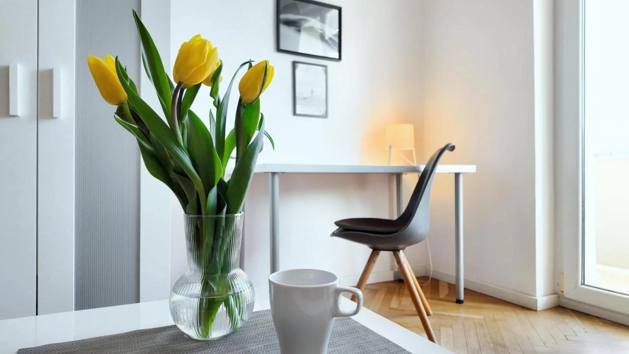 Bright Apartment Plac Muzealny in Wrocław Perfect for Remote Work by Noclegi Renters foto