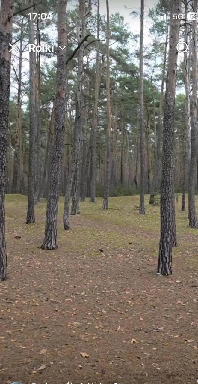 Nowy Zakątek photo