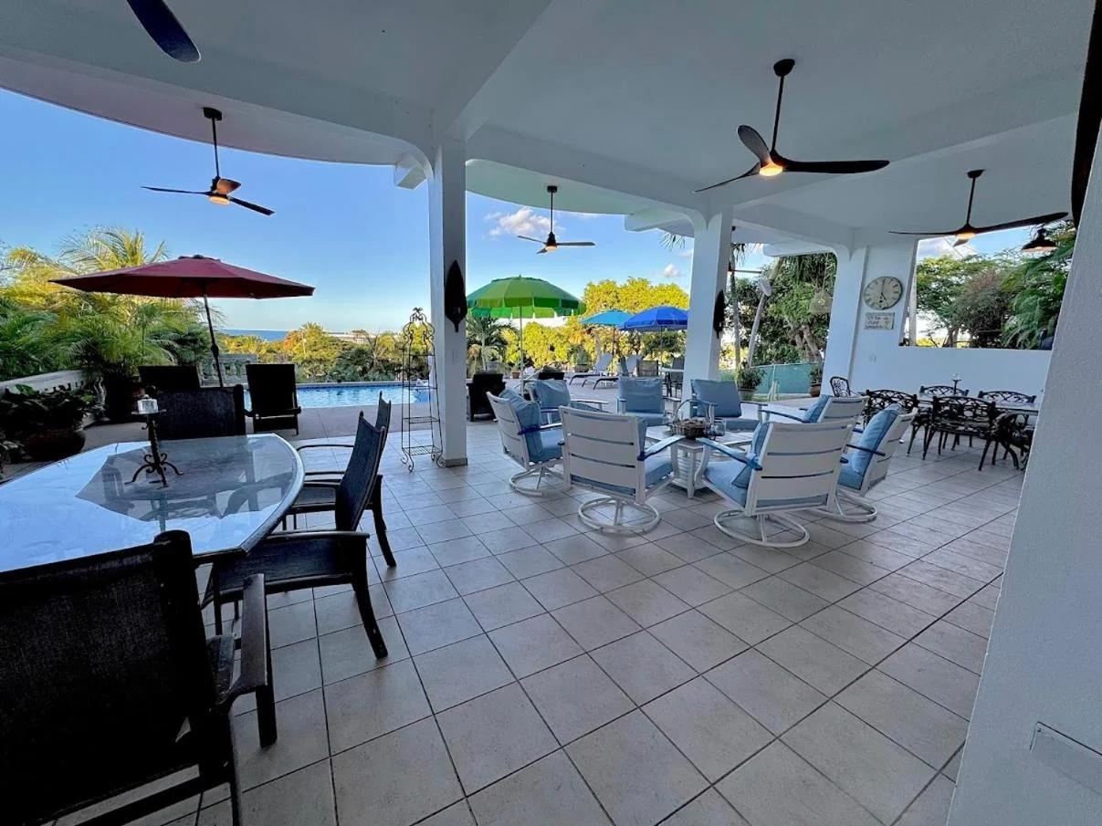 Vieques BioBay Bed and Breakfast photo