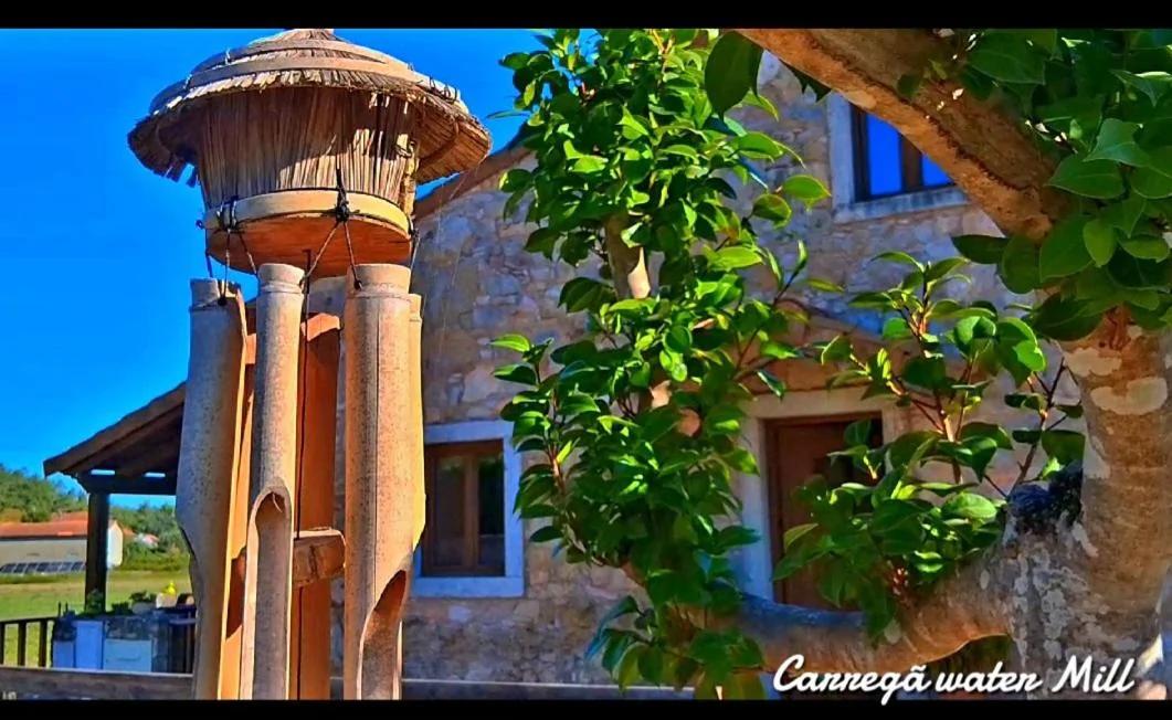 Carregã Water mill photo