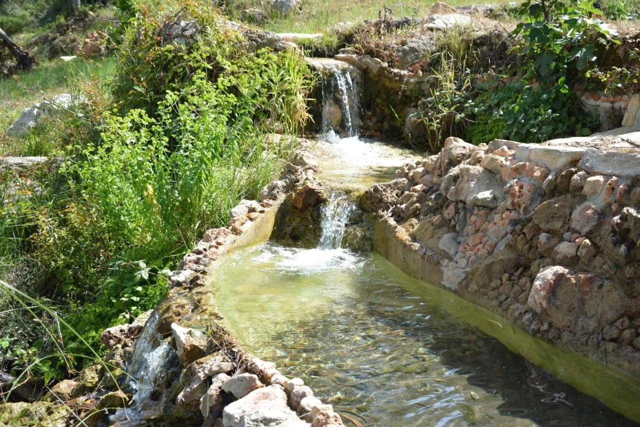 Quinta do Freixo foto