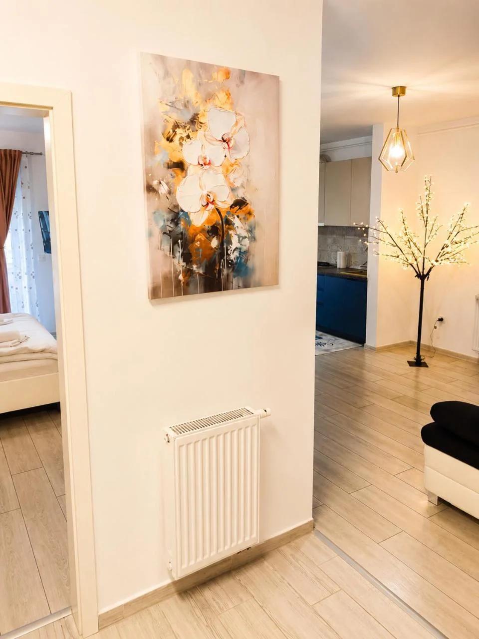 Ariel Deluxe 2 & 3 rooms apartments Coresi Brasov photo