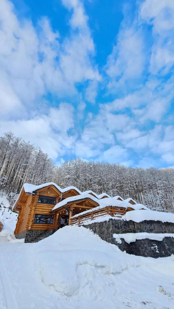 Barlogul Ursului photo