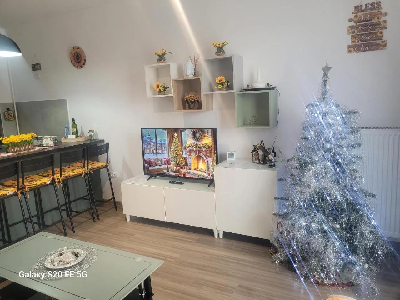 Casa cu Floarea Soarelui photo