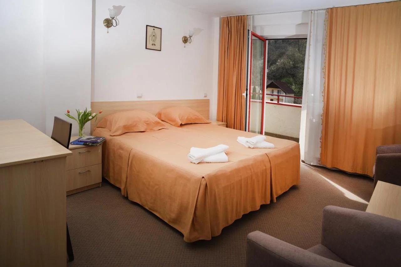Hotel Vacanța photo