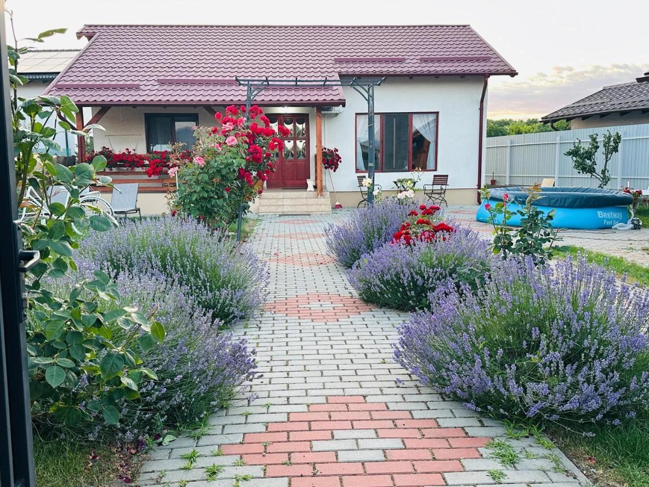 Mountain View House Brasov photo