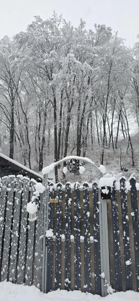 Studio dorința photo