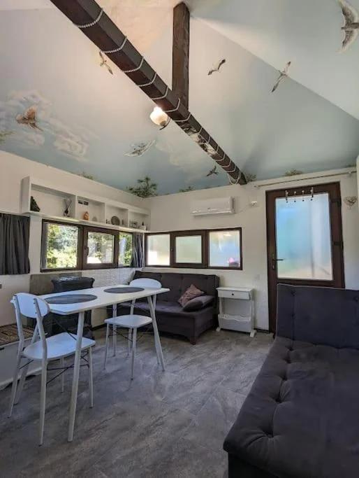 Theea's tiny house photo
