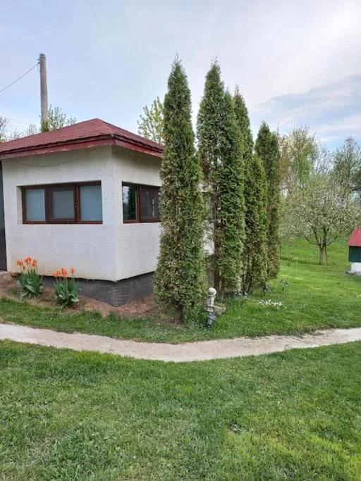 Theea's tiny house photo