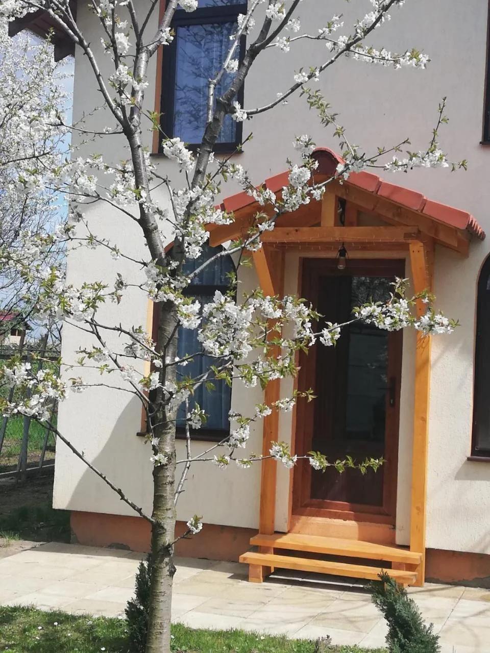 TINY CABIN foto