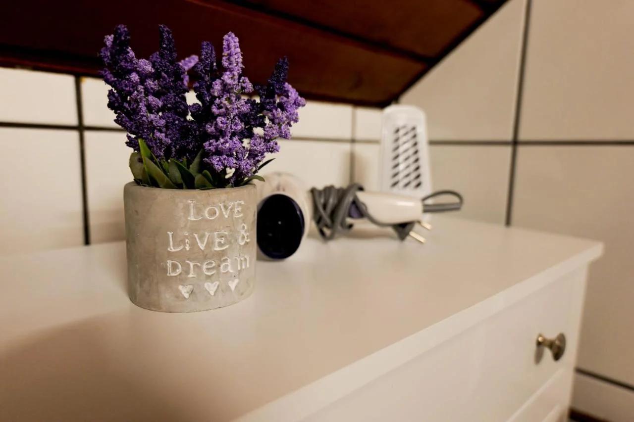 Transylvanian Hideaway Apartment photo