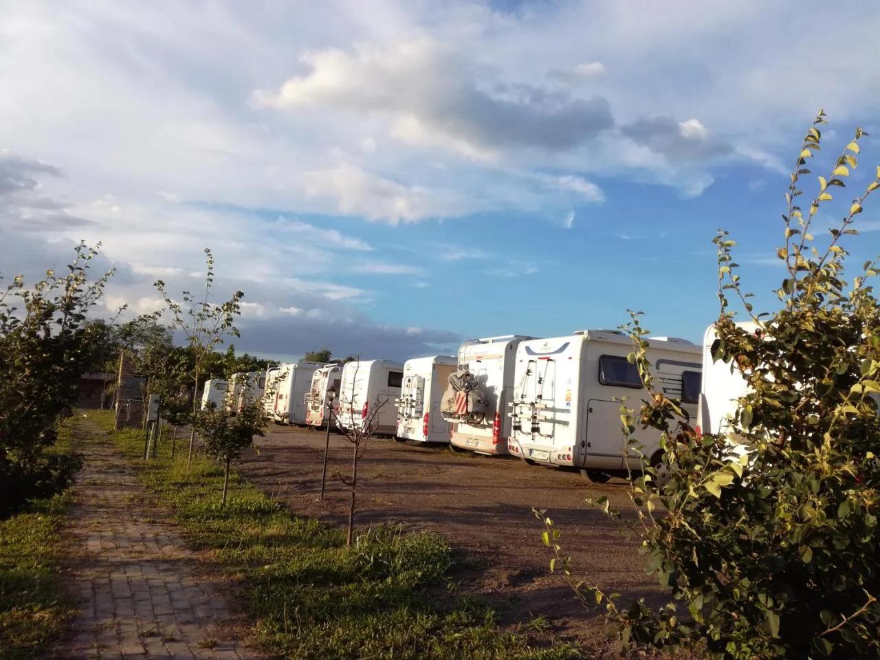 Camp Salaš Farma 47 Čenej