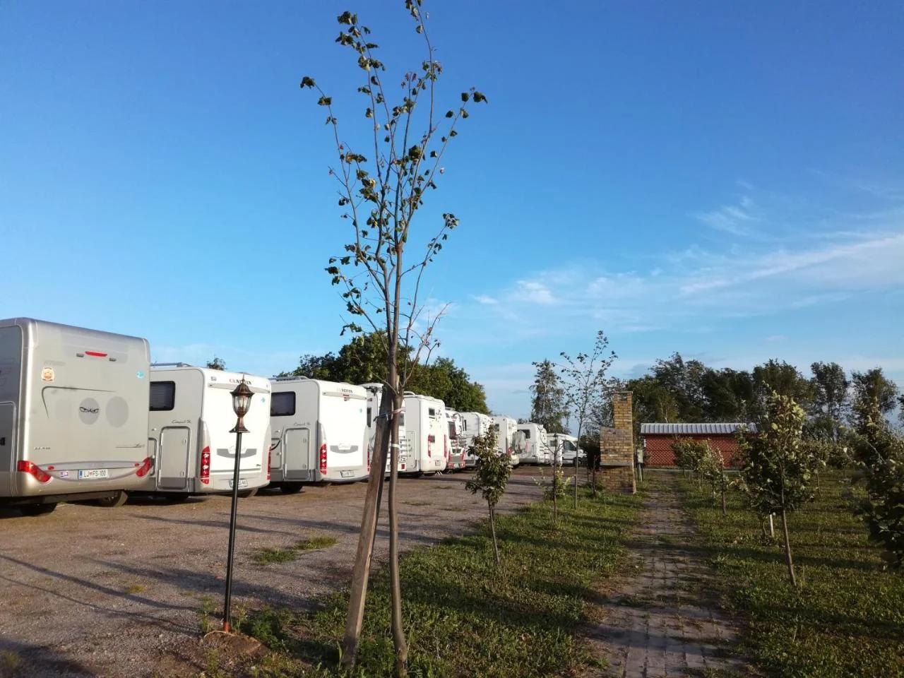 Camp Salaš Farma 47 Čenej photo