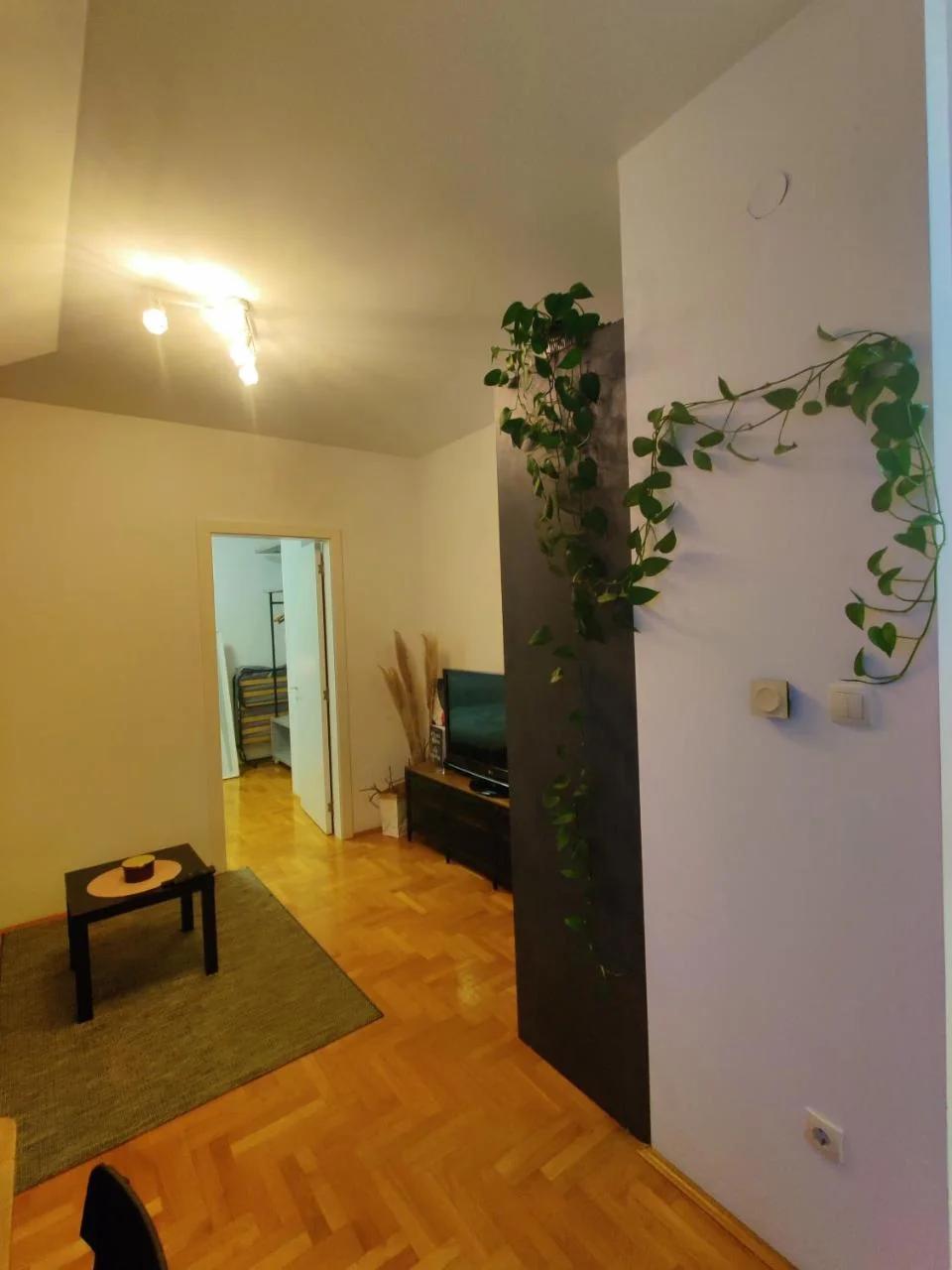 Dalija Apartment photo