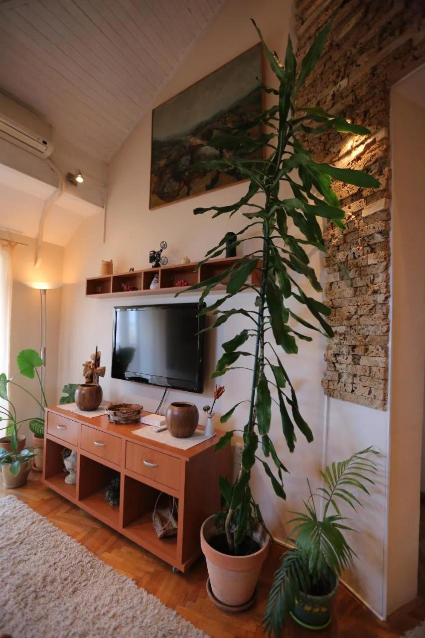Magic Apartment photo