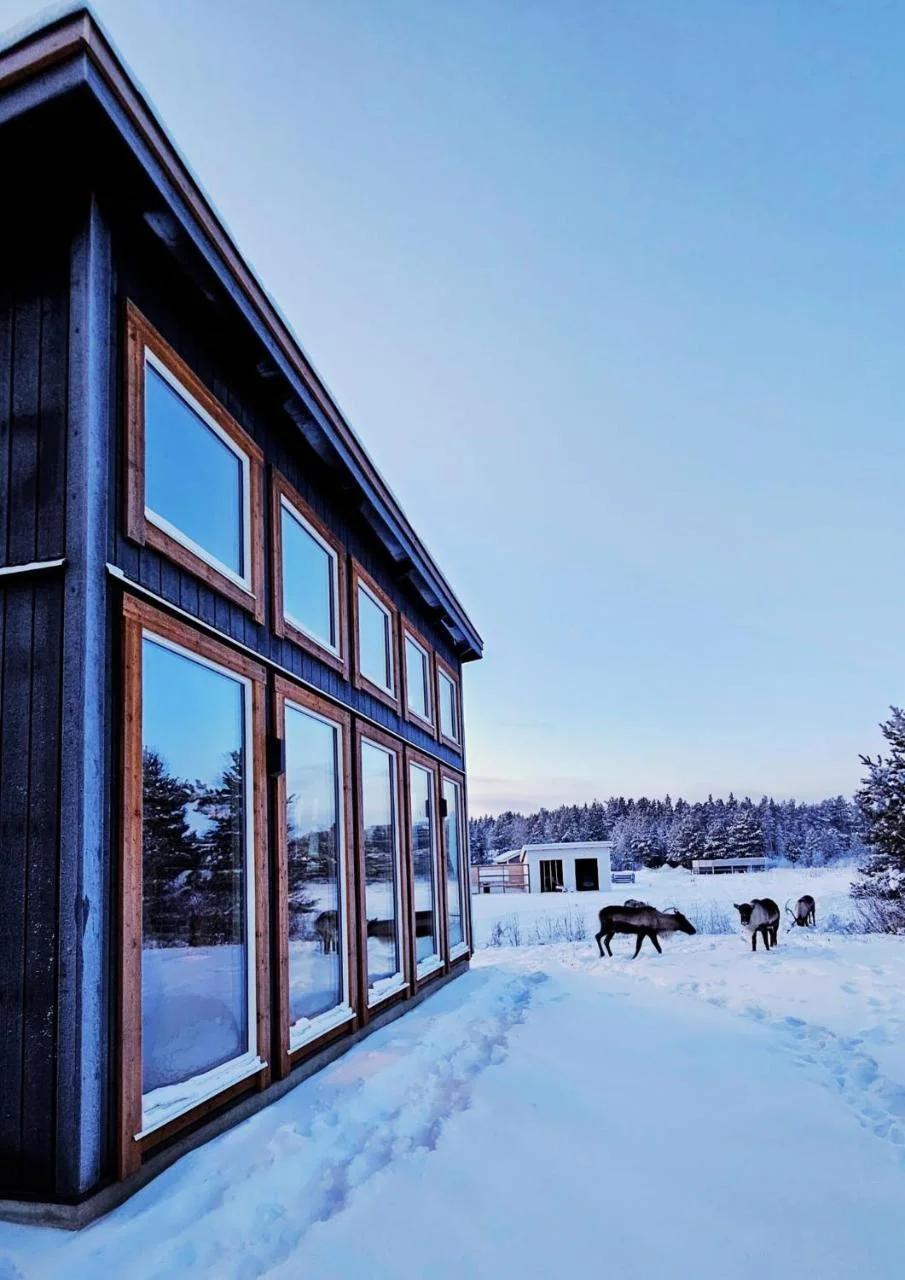 Reindeer Riverfront Aurora lodge photo