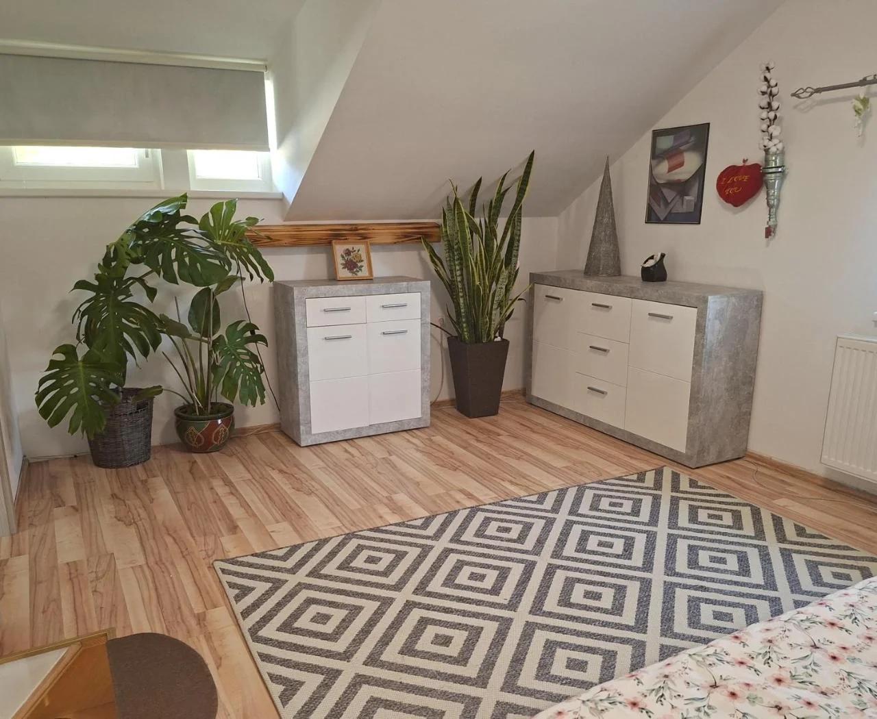 Holiday house Zala photo