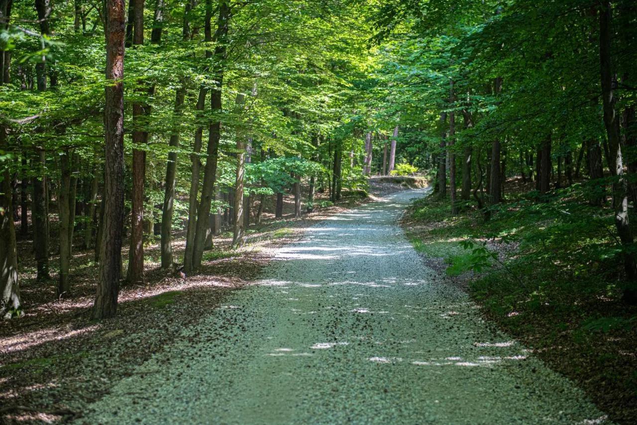 Living Forest Resort photo
