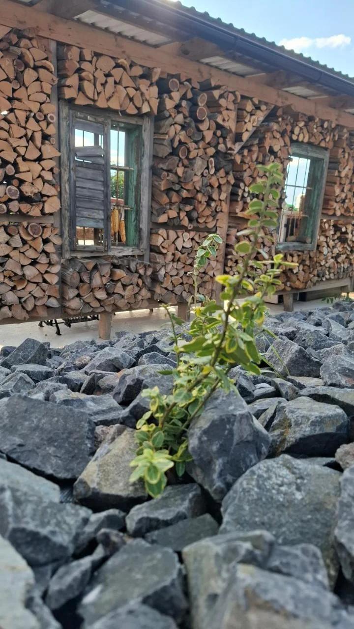 RANČ Dida photo