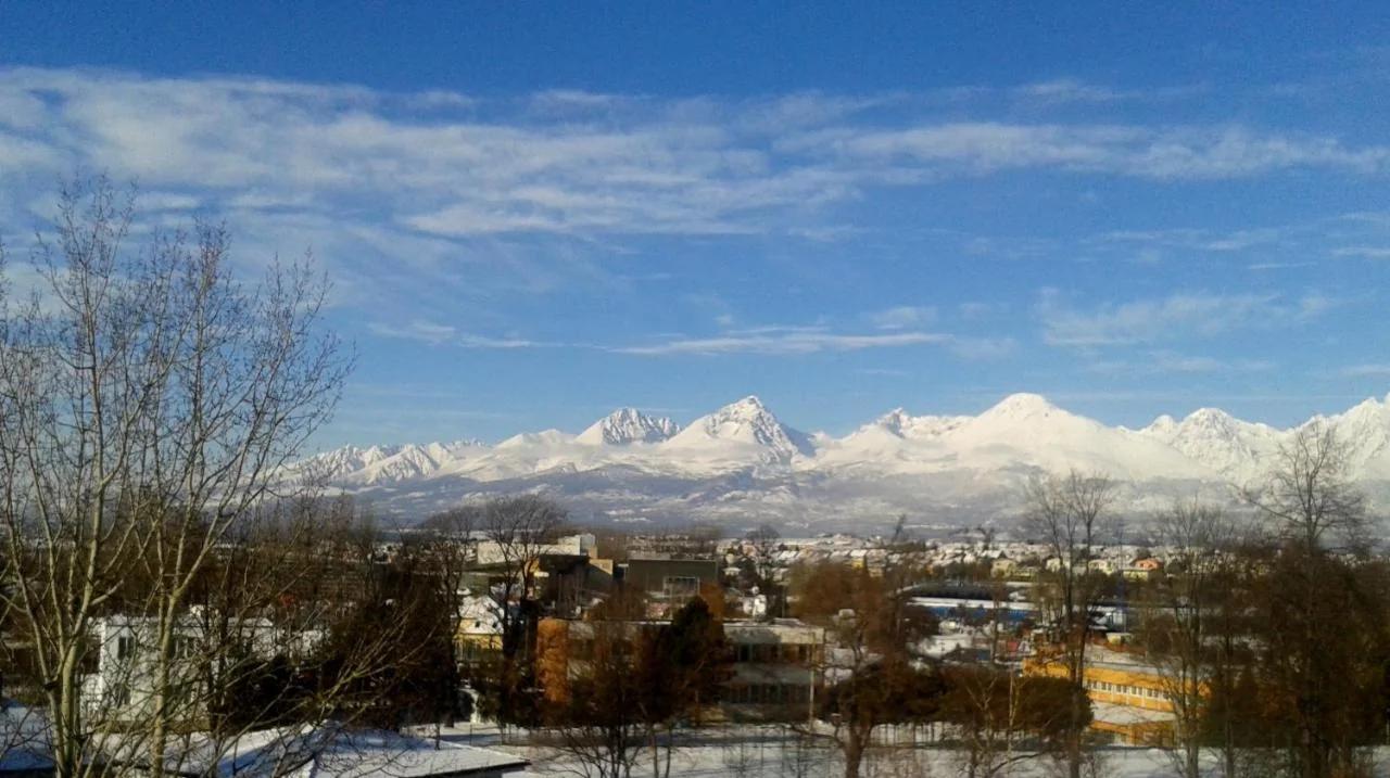 Mountain View Studio Apartment photo