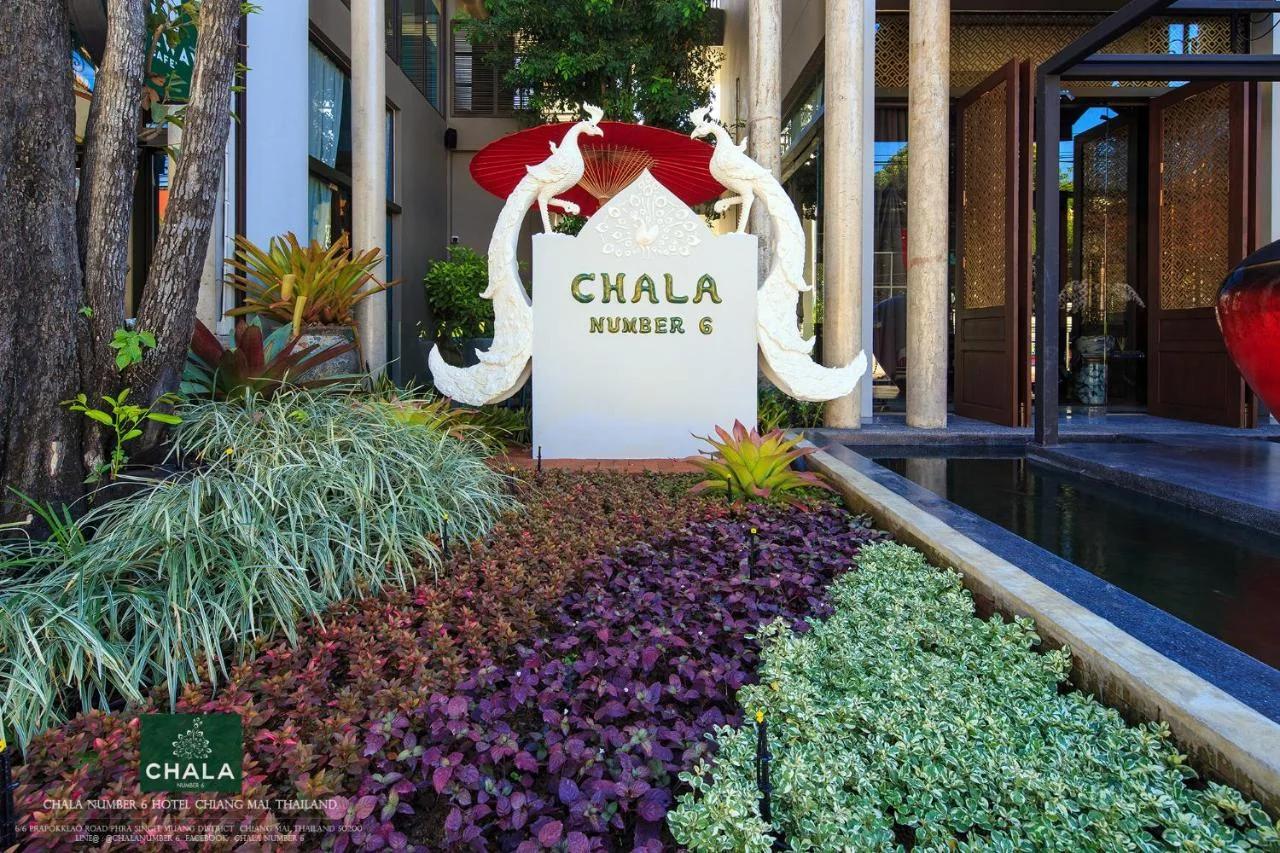 Chala Number6 photo