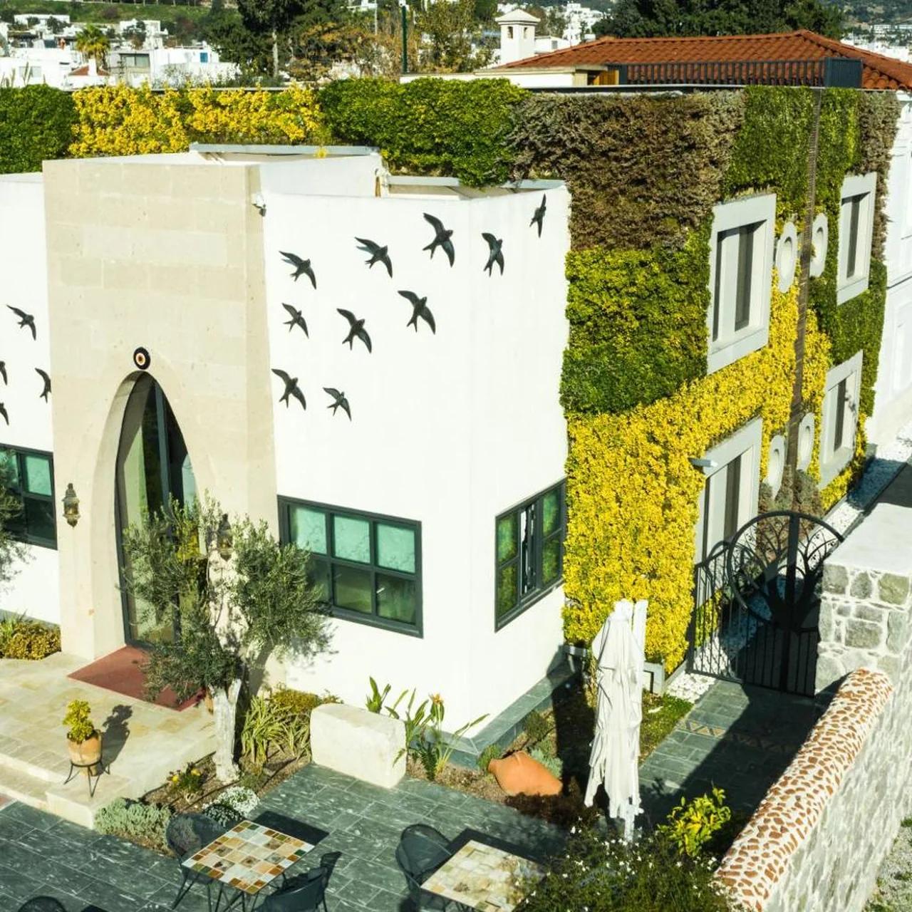 Kocadon Hotel foto