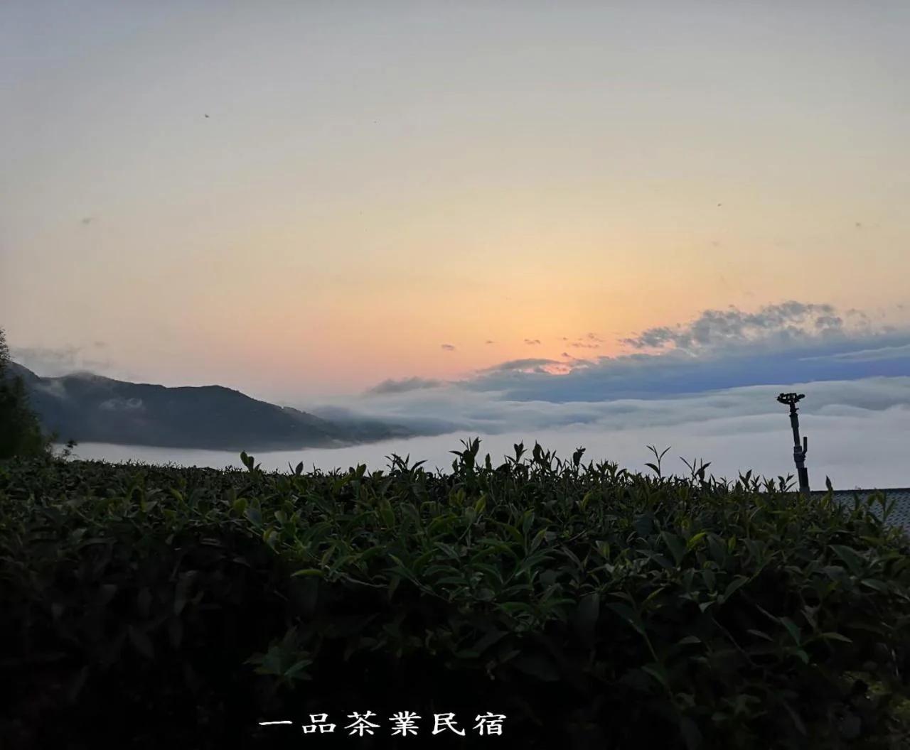 Gaodiyuan Tea B&B 高帝園茶業民宿 photo