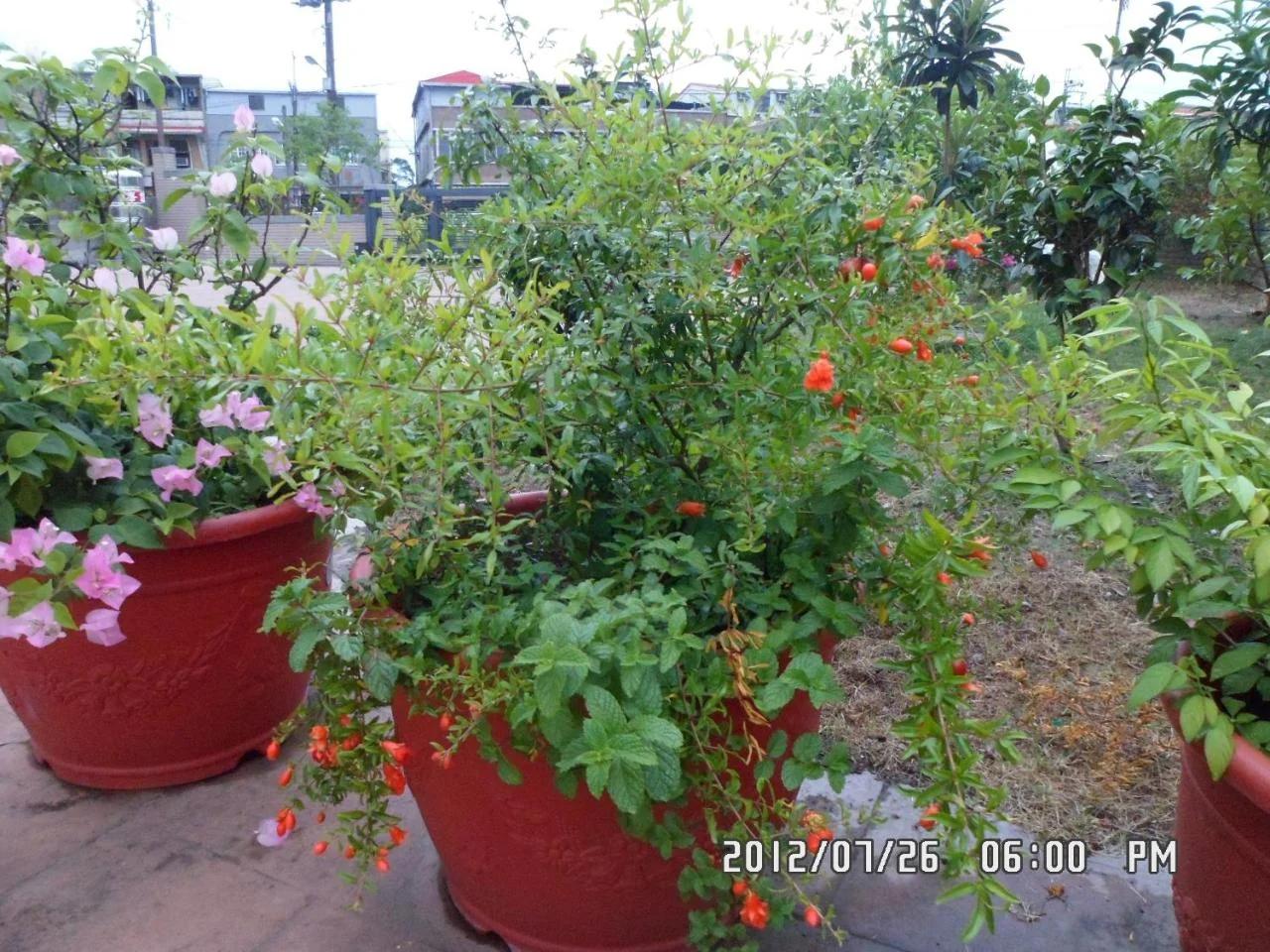 Rose Lodge Homestay photo