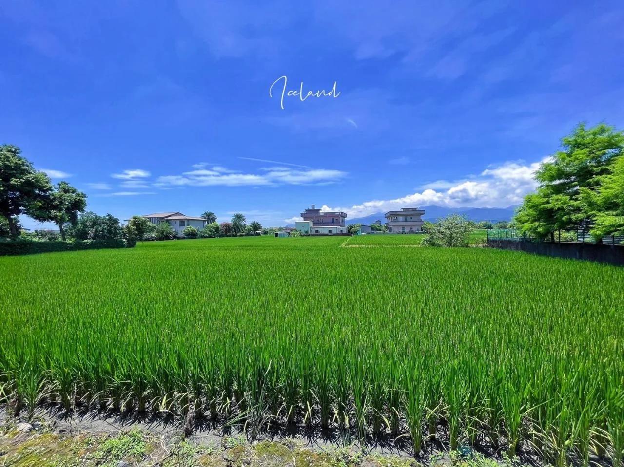 Yudao 695 foto