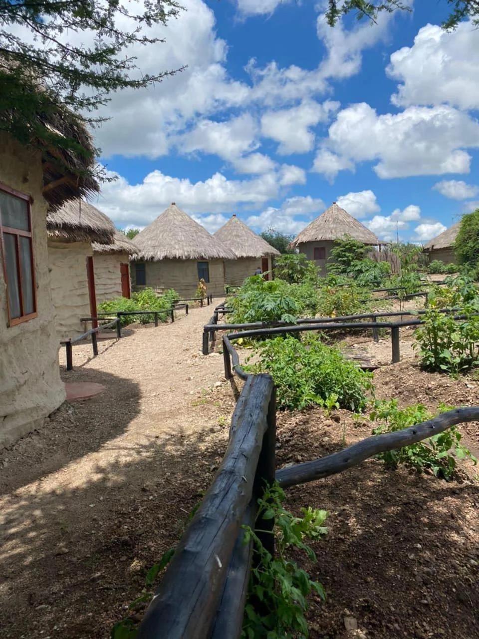 Maasai Eco Boma & Lodge - Experience Maasai Culture photo