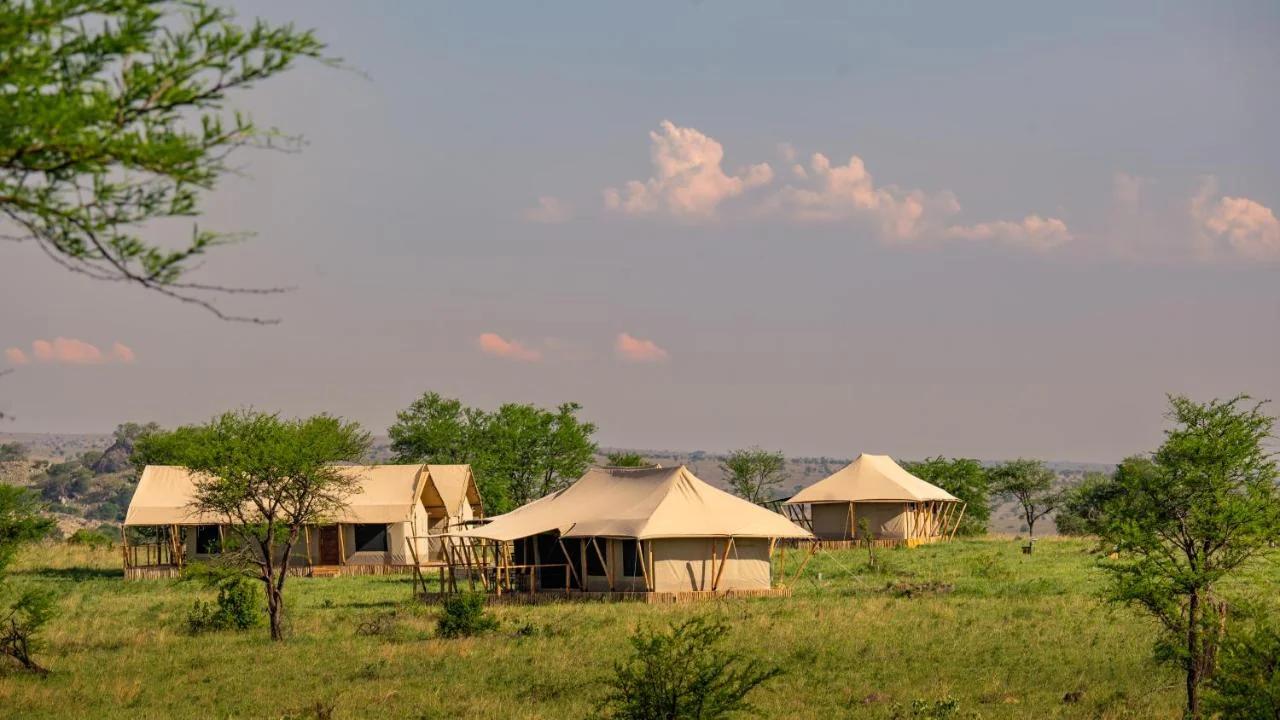 Malaika Seronera Luxury Camp photo
