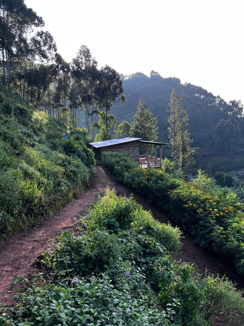 Rubuguri community home