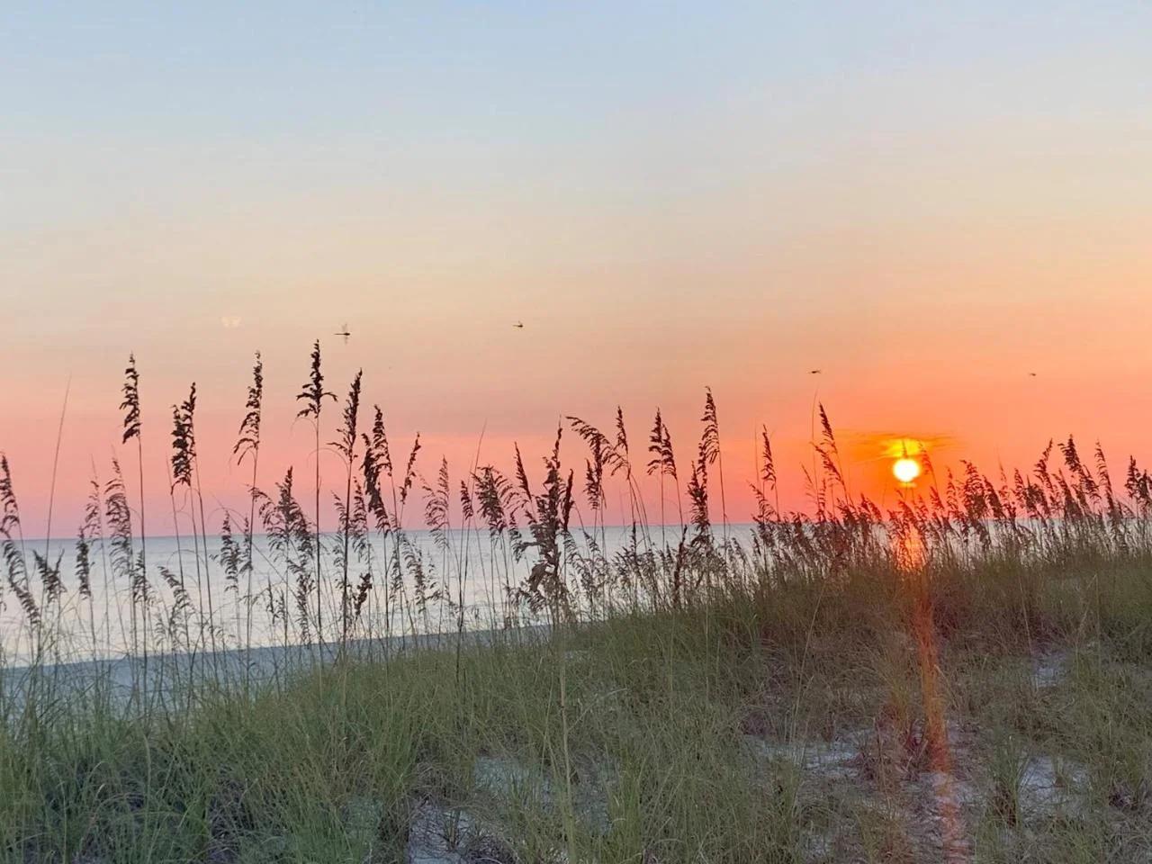 Bid-A-Wee Breeze Making memories by the Sea photo