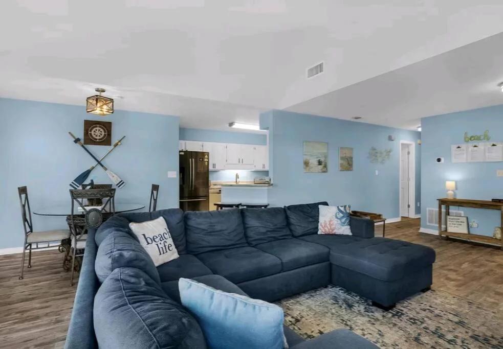 Seashell Suite! foto