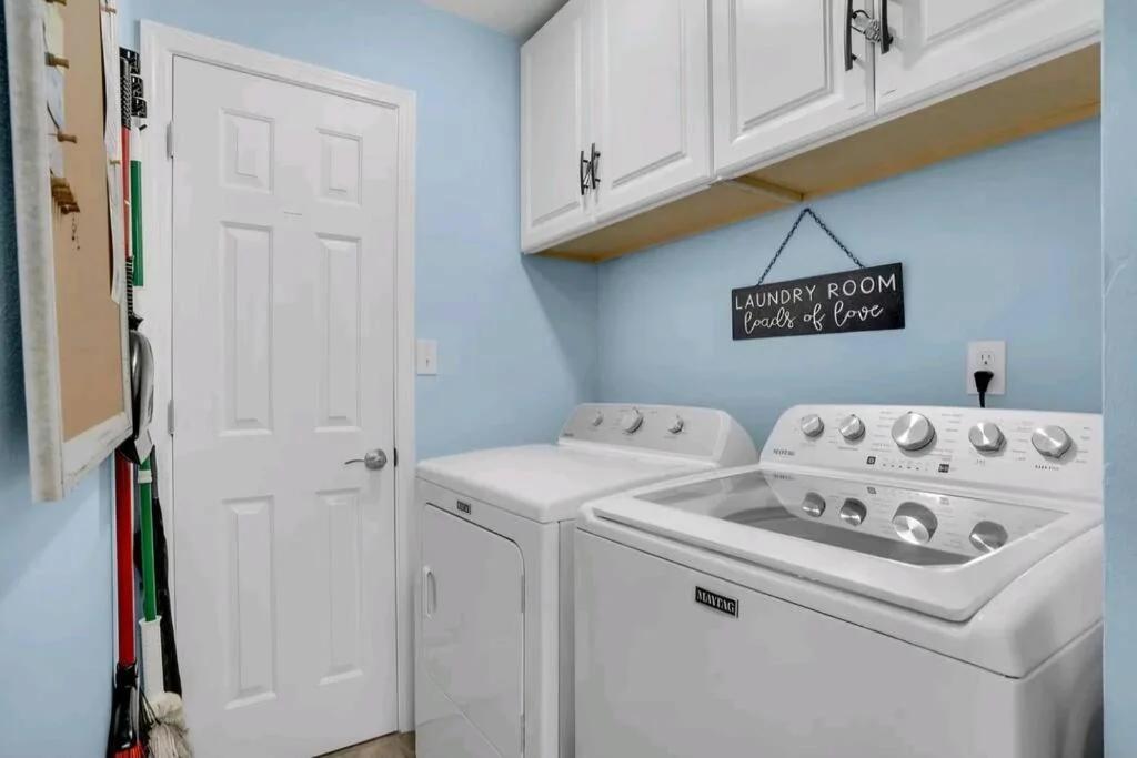 Seashell Suite! foto