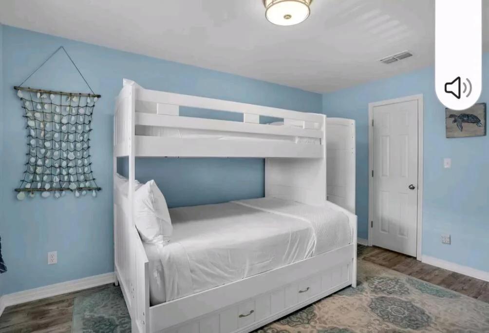 Seashell Suite! foto