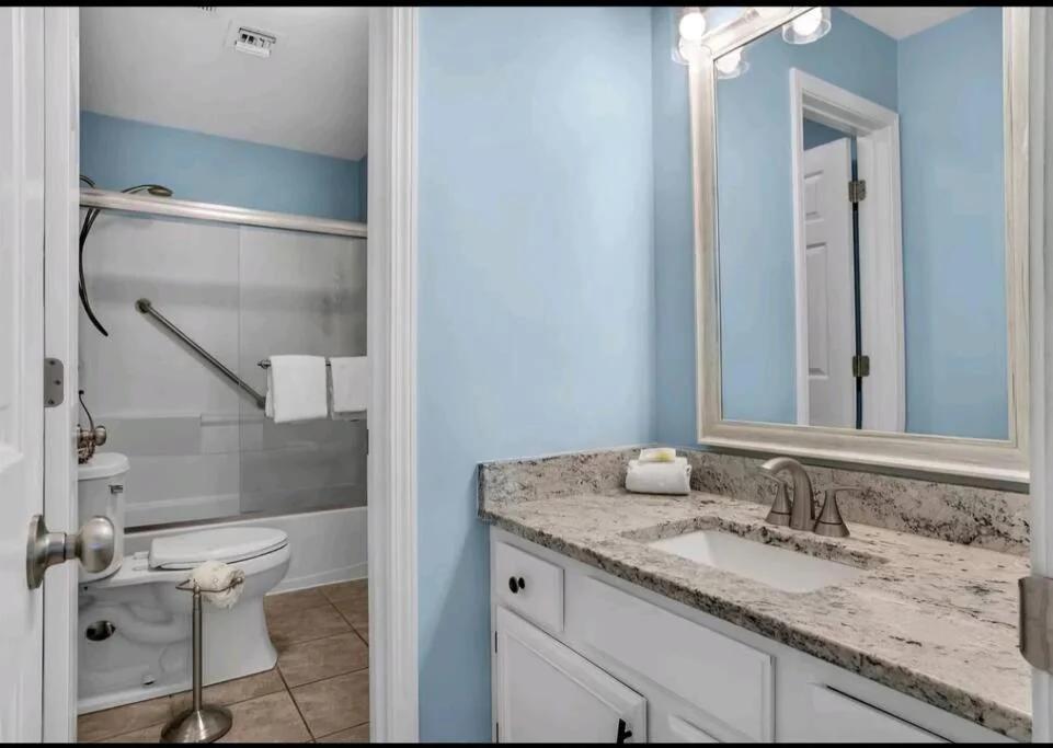 Seashell Suite! foto