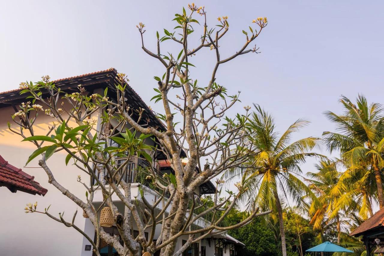 Ancient Retreat Hoi An - Riverfront Resort photo