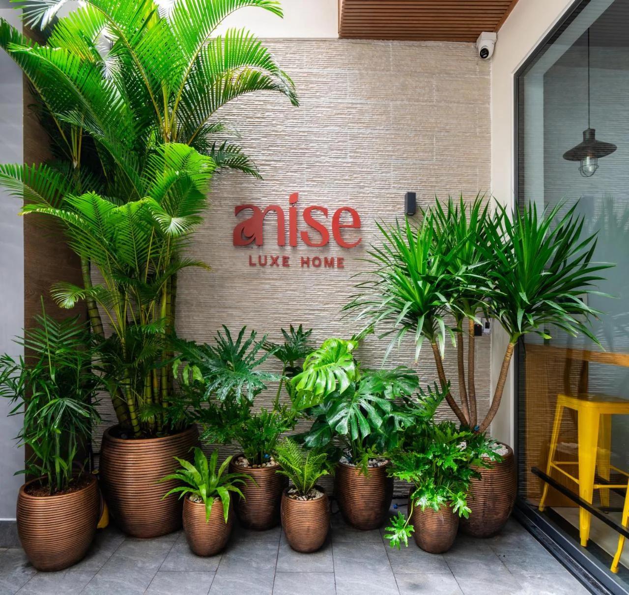 Anise Luxe Home photo