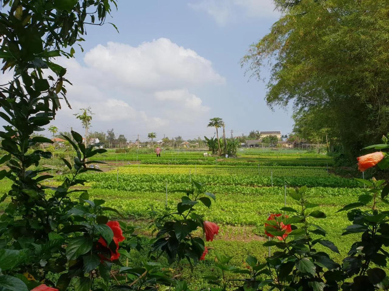 Hoi an Osaka Riverside Villa & Spa photo